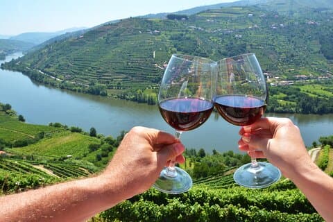 Oporto : Tour enológico por el valle del Duero incluyendo almuerzo
