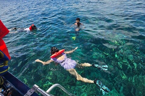 Roatan Jungle Top Zip Line, Wildlife Eco-Park und Schnorchel