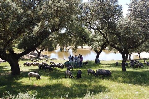 Tour della Via del Prosciutto di 2 giorni a Jerez de los Caballeros e in Estremadura
