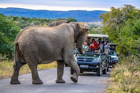 4 Tage 3 Nächte Safari Paket mit Transfers