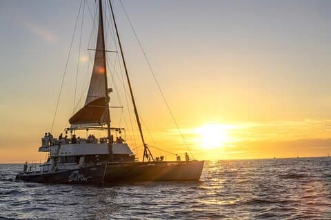 Croisière au coucher du soleil à Cabo San Lucas : tacos, margaritas et otaries