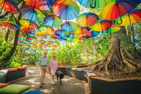 Tour privado por el interior de Sunshine Coast desde Brisbane