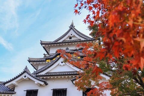 Udforsk den historiske slotby Hikone fra Osaka