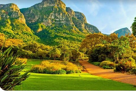 Taffelberget Kirstenbosch Värld av fåglar, Diamond Factory inkl.