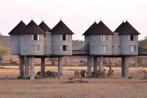 3 Tage 2 Nächte Safari zur Saltlick Lodge ab Mombasa