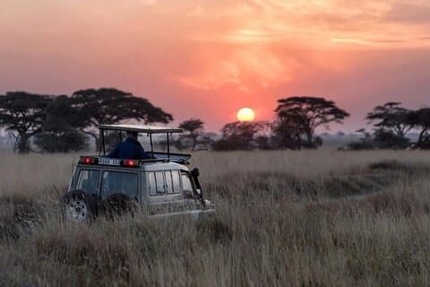 Serengeti Safari-tocht