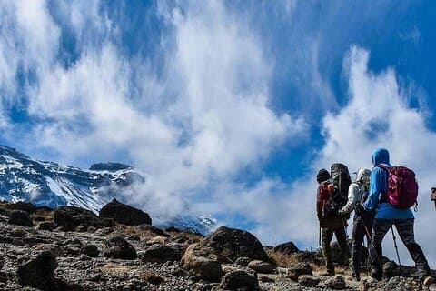 Randonnée d'une journée au parc national du Mont Kenya par la route Narumoro