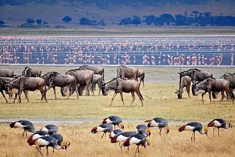 2 Days Tarangire and Ngorongoro Crater