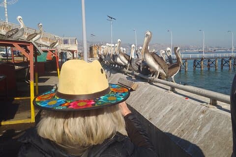 Tour to the markets of Valparaiso