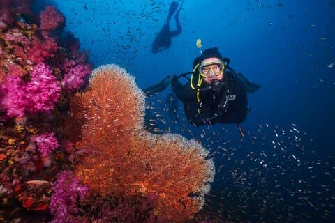 Scuba Liveaboard 2 dager 1 natt dykketur fra Khao Lak