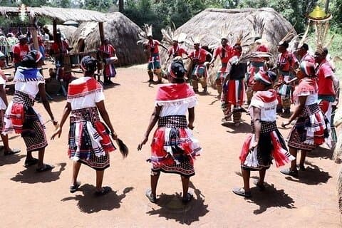 Experiencia de Safari en Kenia en Nairobi Tour