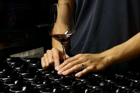 Visite de la cave boutique avec dégustation de vin et nourriture à Bologne