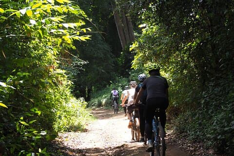Rauer Wald Radtour