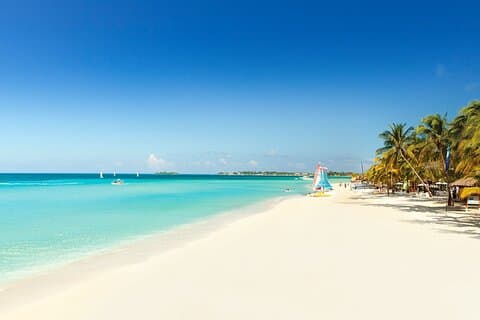 Aéroport de Montego Bay et navette privée pour les couples emportés