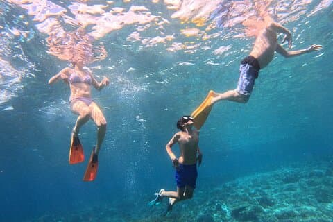 Fra Bali: Nusa Penida fuld dagstur og snorkling