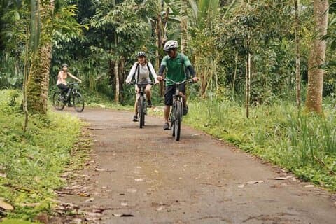 Kintamani til Ubud Downhill sykkel tur med lunsj