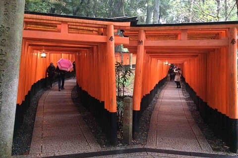 Eastern Kyoto Walking Tour with Local Guide