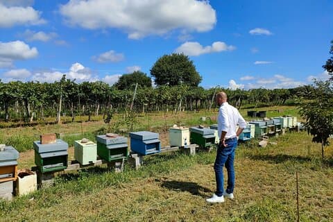 Biavlergårdstur og smagsoplevelse i Lazise