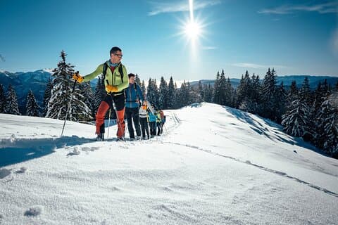 Private guidede skiturer i Slovenien og udlandet