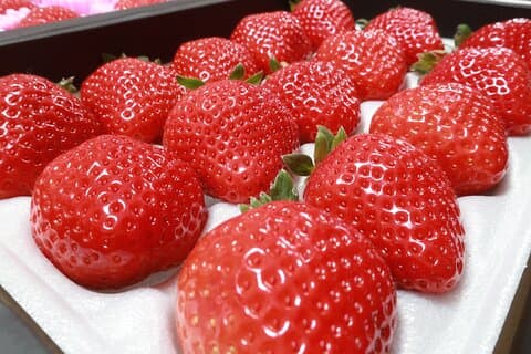 Busstur till Dazaifu Yanagawa och Fruits Pick i Fukuoka