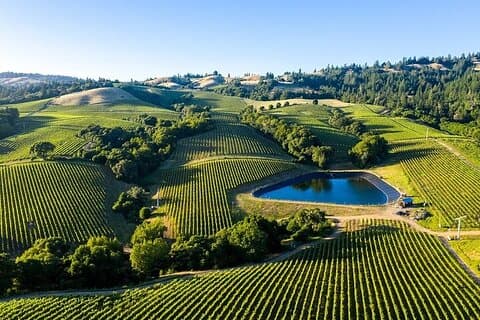 Recorrido privado por los viñedos de Napa y Sonoma desde Oakland