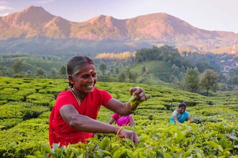 6 days active Kerala private tour by Green Earth Trails