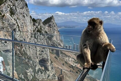 Gibraltar privat tur fra Marbella