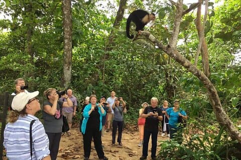 Puerto Limon 6 in 1 Highlights Tour