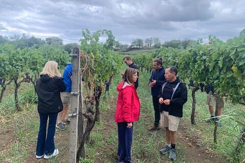 Visite privée de dégustation de vins, Taormine et Messine au départ de Messine