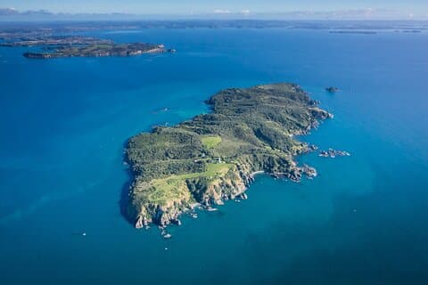 Entdeckungstour der Insel Tiritiri Matangi – ab Auckland
