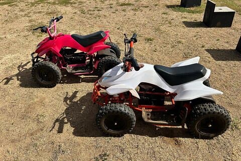 ミニATVと農場動物体験