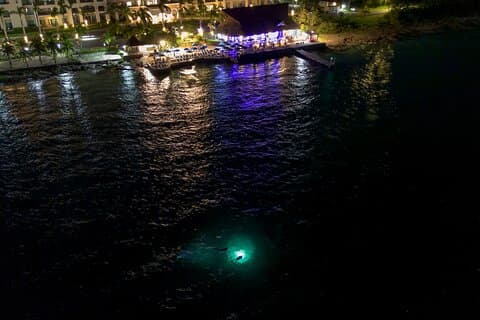 Plongée sous-marine au crépuscule sous les étoiles et dîner en bord de mer au Money Bar