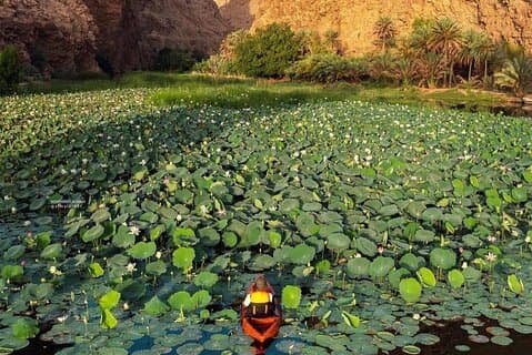 Excursion privée à Wadi Shab