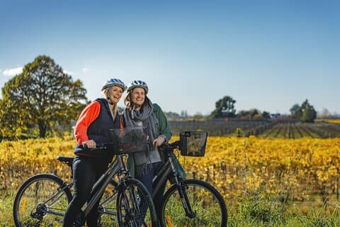 マルボロワイン地域の自転車レンタル