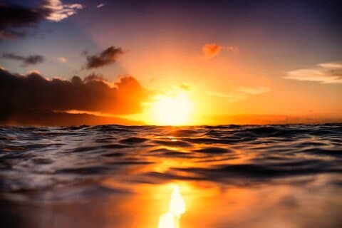 Waikiki Glass Bottom Boat Cruzeiro ao Sol