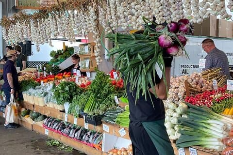 Jean-Talon Market Food Tour in Montreal with Local Guide Mayssam