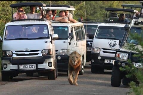 Excursión de un día a Maasai Mara desde Nairobi