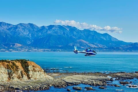 Kaikōura Whale Watching - 1hr 20min Ultimate Adventure