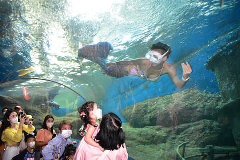 Ingresso para o Underwater World Pattaya Aquarium Journey