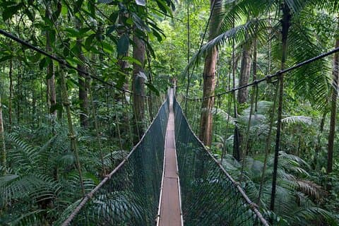 Excursão Compartilhada Taman Negara Nature Tour with Lata Berkoh Falls