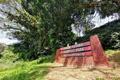 Delt heldags Taman Negara Trekking Tour