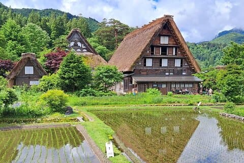 Tour di 1 giorno a Shirakawago e Takayama (andata e ritorno da Kanazawa)