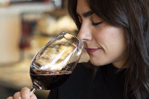 Recorrido fotográfico y cata de vinos en la ciudad de Ushuaia