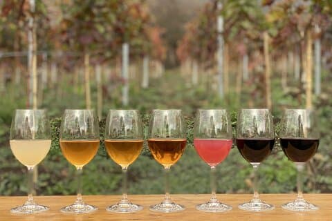 Full Day Private Wine & Beer Tour in Kakheti Region with lunch!