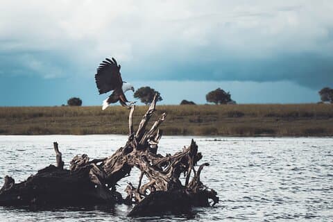 Tour di un'intera giornata Okavango Mokoro