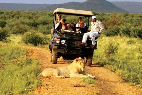 Ganztägige KwaZulu Hluhluwe Imfolozi und ISimangaliso Wetland Tour