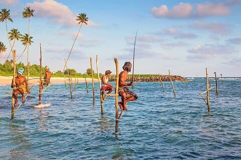 Tagesausflüge nach Galle von colombo Besuchen Sie Seine Highlights