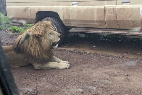 3-Day Safari to Ngorongoro, Tarangire & Lake Manyara NP
