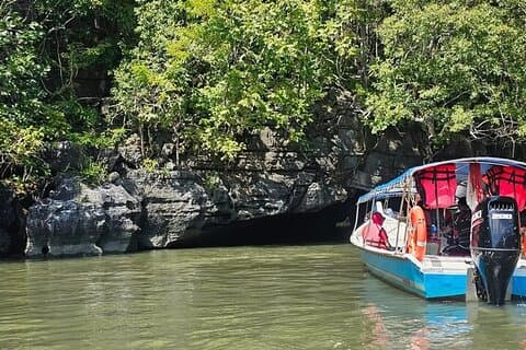 Langkawi Mangrove & Bat Cave Expedition: Sharing Boat With Option