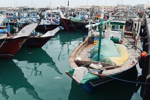 Nord du Qatar Expédition guidée aux charmes de la nature